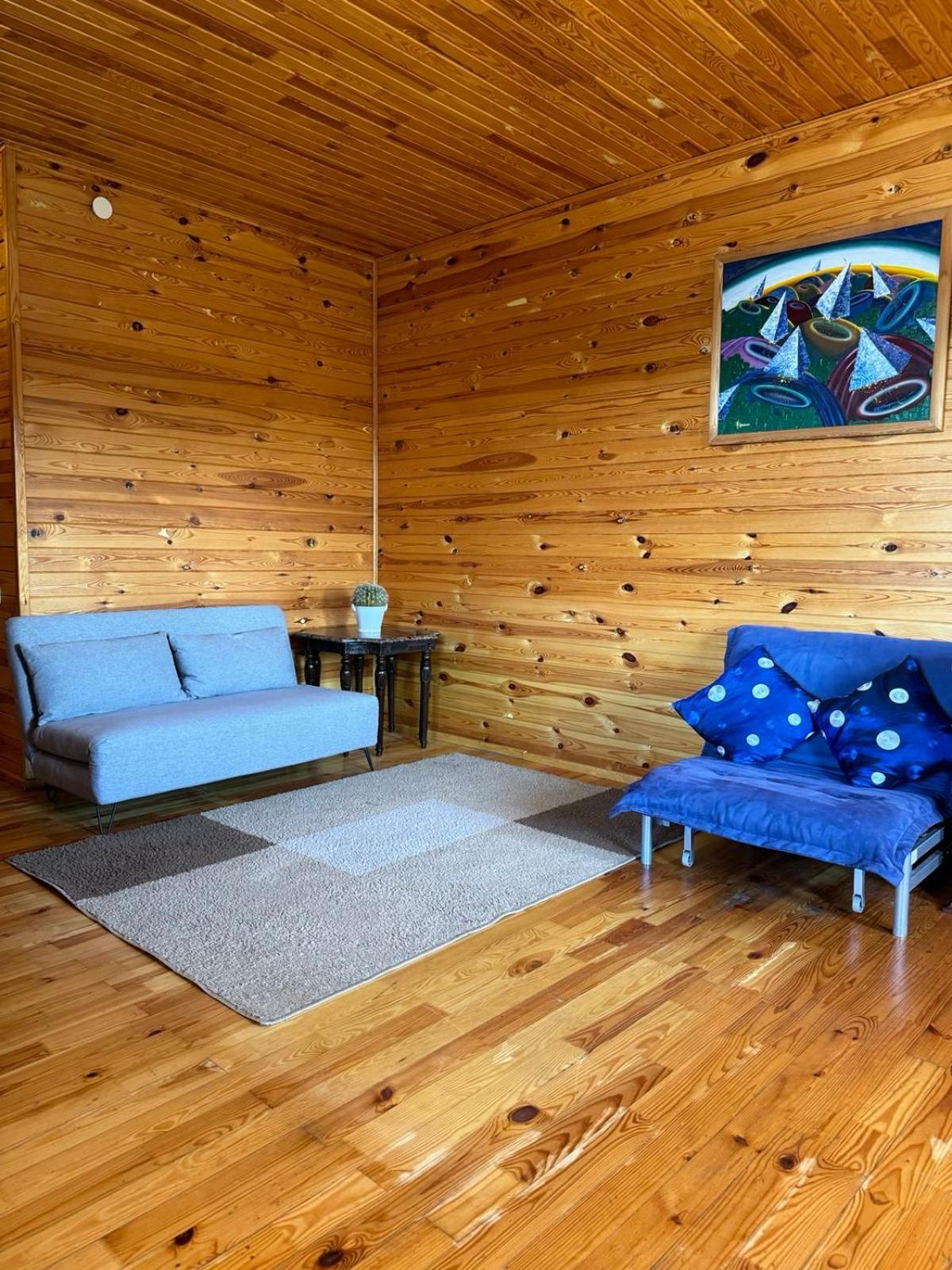 Mayak Resort Kam'yani Potoky Rom bilde